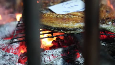 Amazing Iraqi Style Grilled Fish Around Charcoal and Wood Fire | Erbil Street Food
