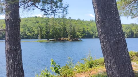 Do you feel the real magic about? #canada #nature #lake #discover #travel #4k