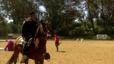 Police Horse Training | Extraordinary Animals | BBC Earth