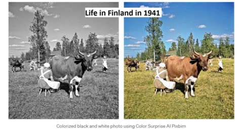 Colourised Images