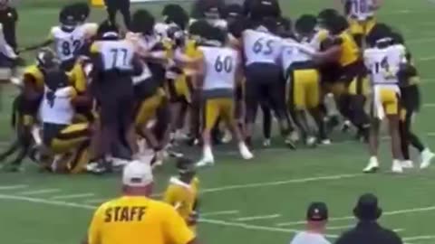 Brawl At Steelers Training Camp