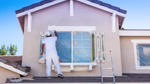 Adali Painting - (437) 900-3604