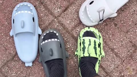 Shark Slippers Different Colors