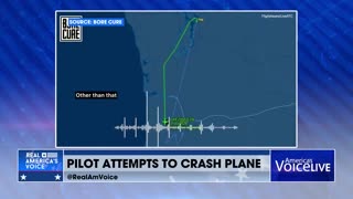 PILOT ATTEMPTS TO CRASH PLANE