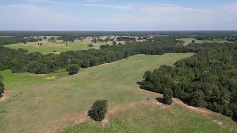 1075 Acre Cattle Ranch UNDER CONTRACT, Simms, Texas, Bowie County