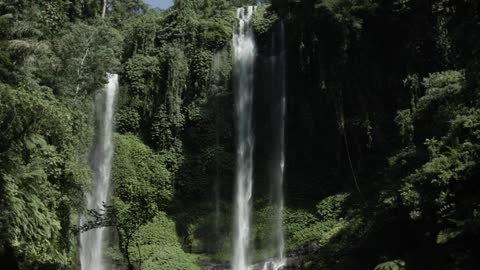 Waterfall in Green Rainforest