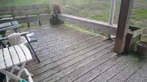 Hailstorm !!