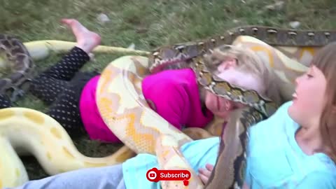 Sank Family || Small Cute Girls Playing With Python || Dangerous Sank