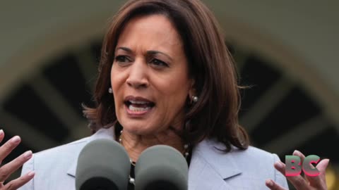 Cotton calls out media for lack of scrutiny of Harris since becoming nominee