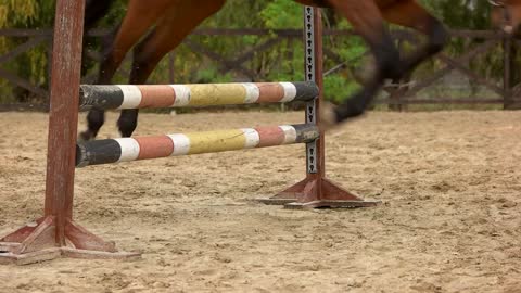 Slow motion horse jumping over hurdle