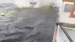 Girl goes overboard right off back of boat fail