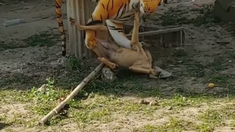 Wow Nice Funny!!! Fake Tiger Prank Dog Run Try To Stop Laugh Challenge 2...