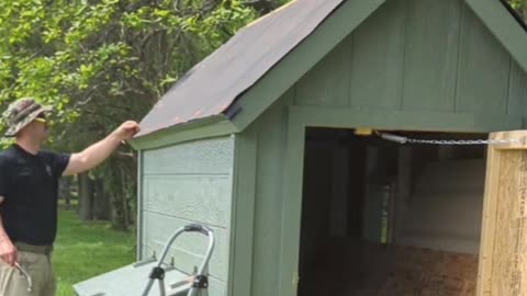 Chicken coop roof