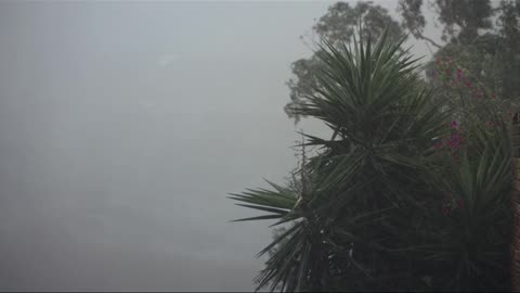 আল্লাহ সামনে মাথা নত করেছি