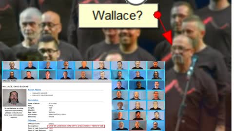 IS THIS WALLACE? BIG TECH SPONSORS PEDOPHILES PERFORMING IN SCHOOLS?
