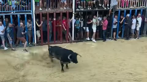 Salida del toro de Madroñiz