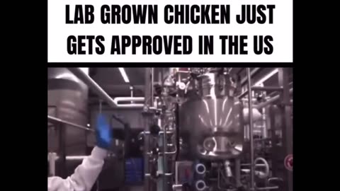 Lab Grown Chicken Has Been Approved and Will Be Available Soon