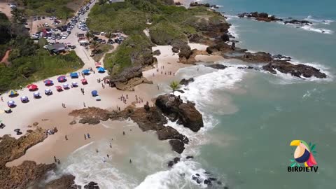 Brazilian Beach | Tambaba Beach - Conde - Paraiba - Brazil