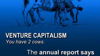 You Have Two Cows - 2022 Edition