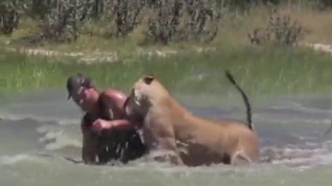 Woow very scary the lion chasing a man (Cute Video)