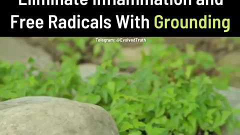 Eliminate Inflammation & Free Radicals With Grounding