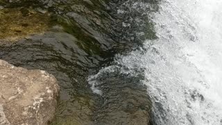Beautiful little waterfall