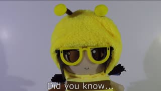 fumo fact - nuc