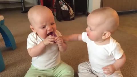 Twin baby girls fight