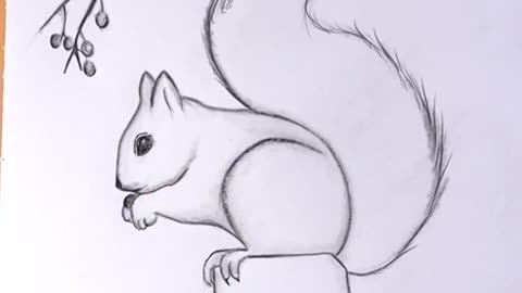 How to draw a squirrel