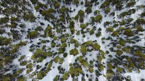 jaw Droppiing Nature Aerials video