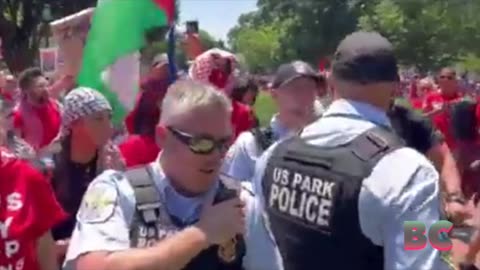 Secret Service Retreats After Being Confronted By Pro-Palestine Protesters In Front Of White House