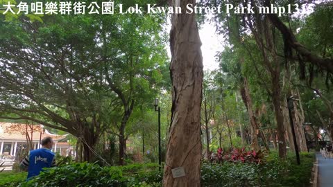 大角咀樂群街公園 Lok Kwan Street Park, mhp1315, Apr 2021