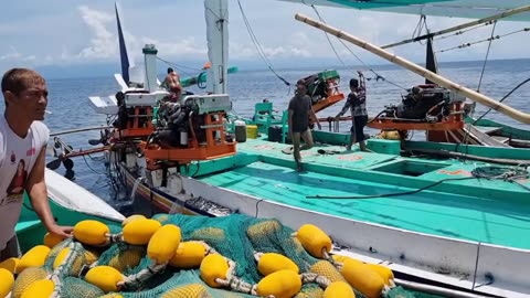 caught millions of sardines and tuna, Indonesian fishermen