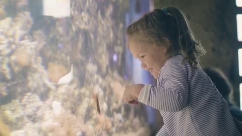 Cute little girl watching tropical fish swimming in undersea world in oceanarium