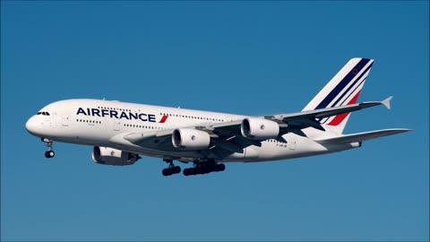 Migrant Crime: Air France
