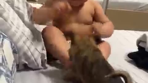 Baby vs dog