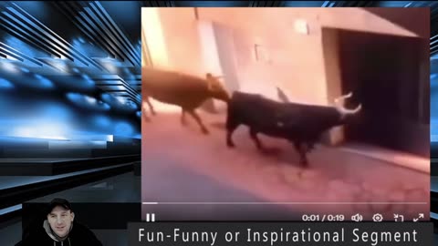 Why You Shouldn’t Taunt a Bull on the Street. Funny Segment Monday