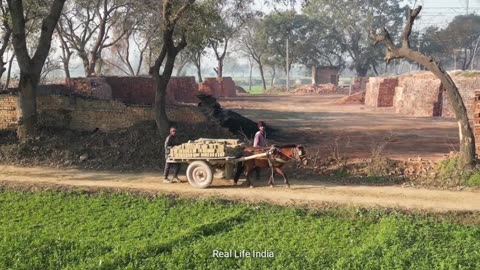 Life Of The Poor In Uttar Pradesh Indian || Rural Life India Up || Farmer Life In Uttar