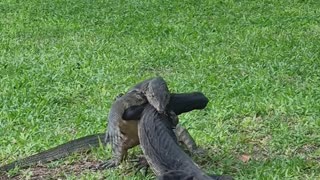 Lumpini Park Bangkok