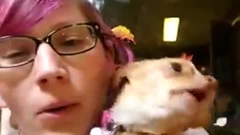 Tiny doggy demonstrates his high-pitched howling