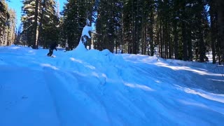 Snowboarder goes fakie to facial!
