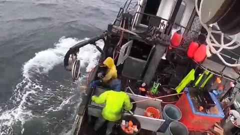 American Fishermen Use Large Pot To CatcMillions of Fish Cod And Crabs on Their Boats.