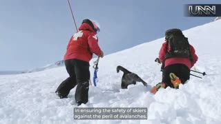 Ever wondered what it takes to train an avalanche rescue dog?