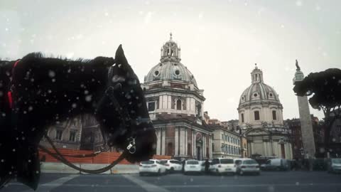 Horse in Rome under snowfall