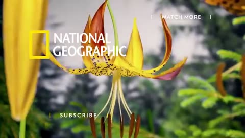 Earth 101 - National Geographic