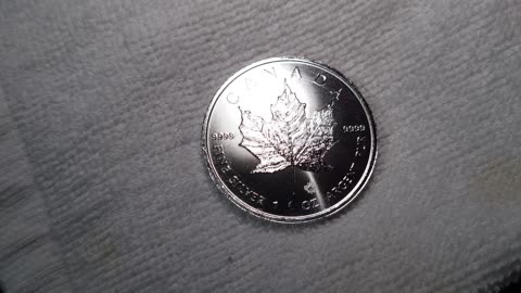 2024 Silver Maple Leaf 1oz Coins