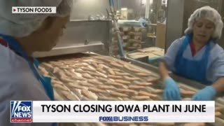 Tyson Foods Is In Hot Water After Getting Political