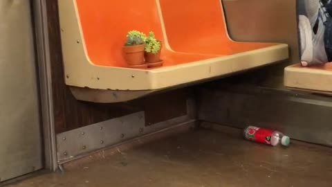 Man on subway stares at two potted plants across from him on seats