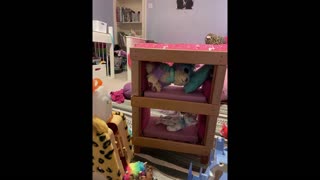 Things I've Made: Teddy Bear Bunk Beds