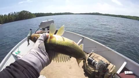 BEST TASTING FRESHWATER FISH? Catch & Cook Wife Reactions